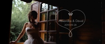 Alexandra & Dávid Wedding Mood Shreds