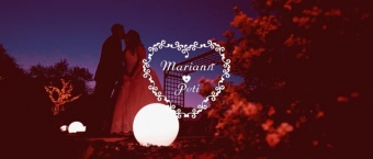 Mariann & Peti Wedding Highlight